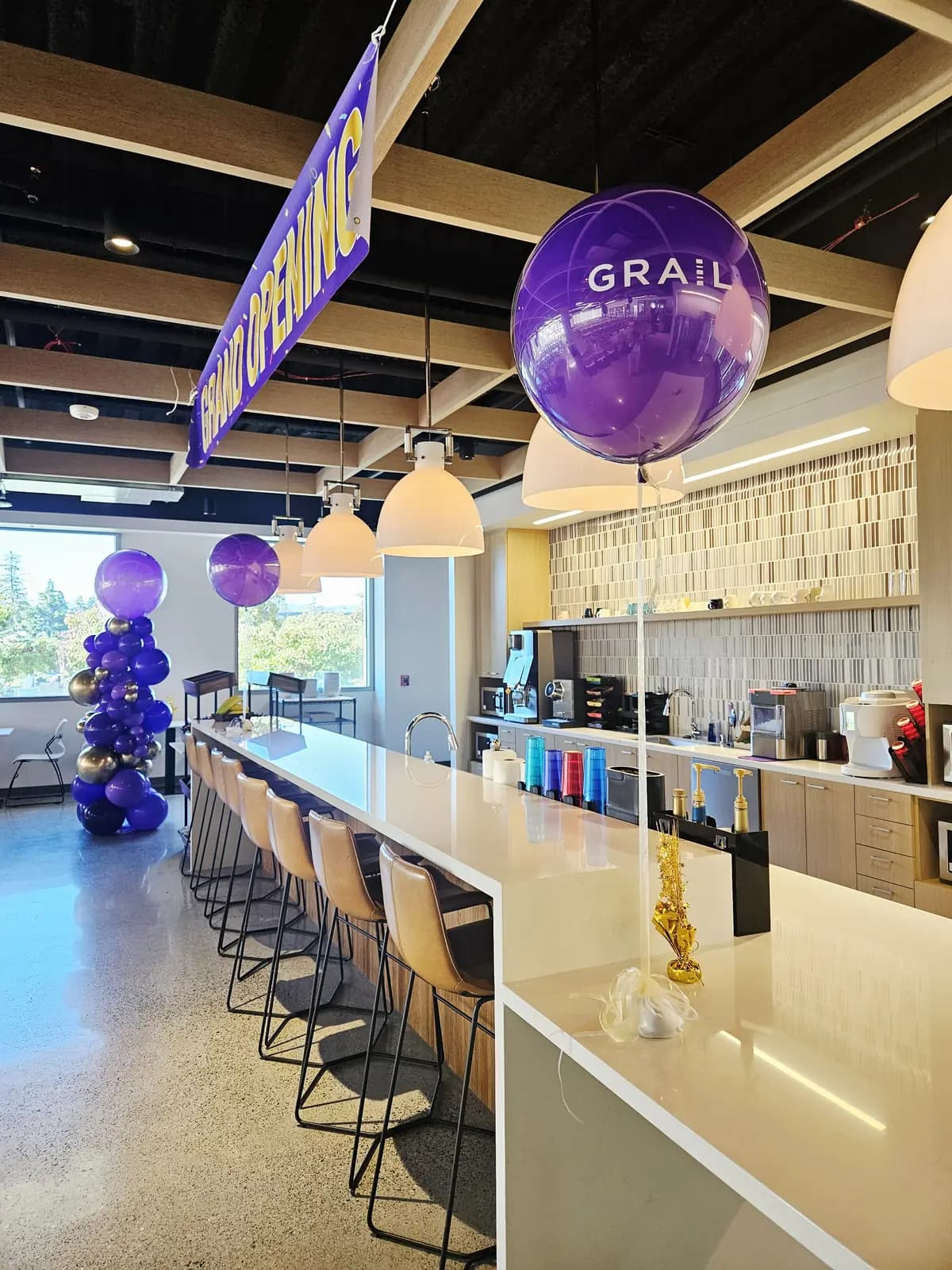 GRAIL Office Event Balloon Columns — view 03