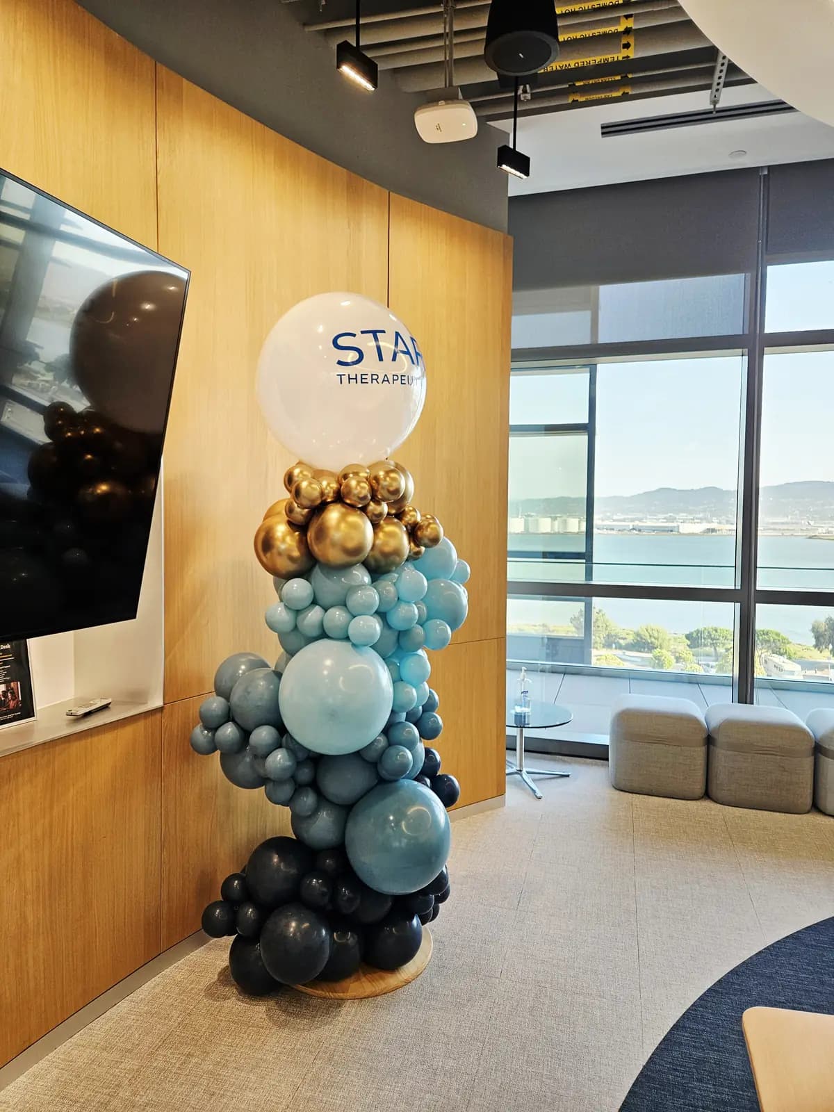 Star Therapeutics Corporate Balloon Column Office — view 01