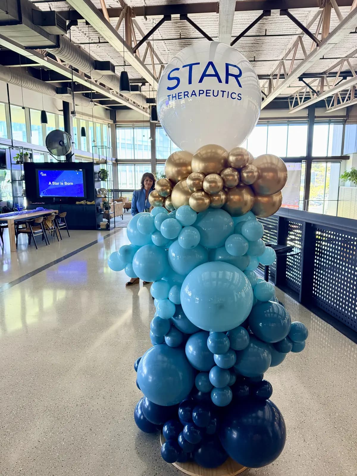 Star Therapeutics Corporate Balloon Column Office — view 05