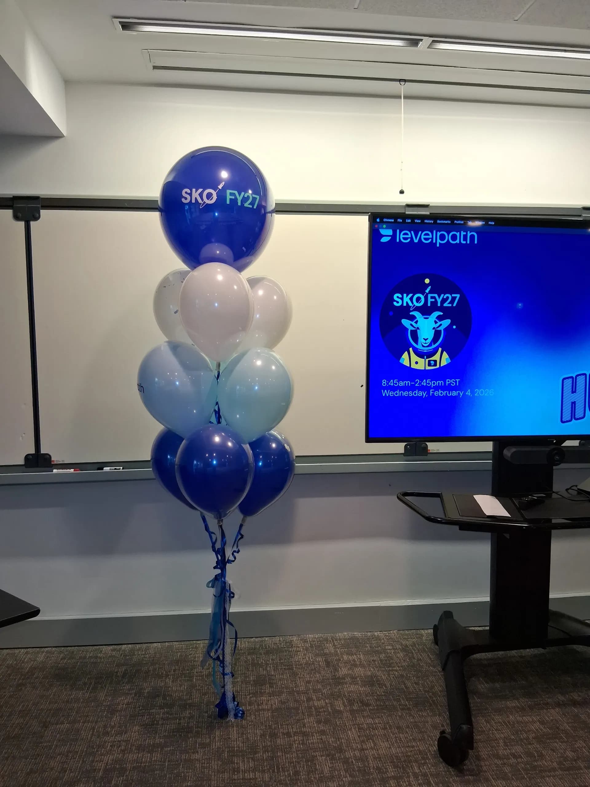 Helium balloon bouquet at the Corporate Event in Sonoma, California.