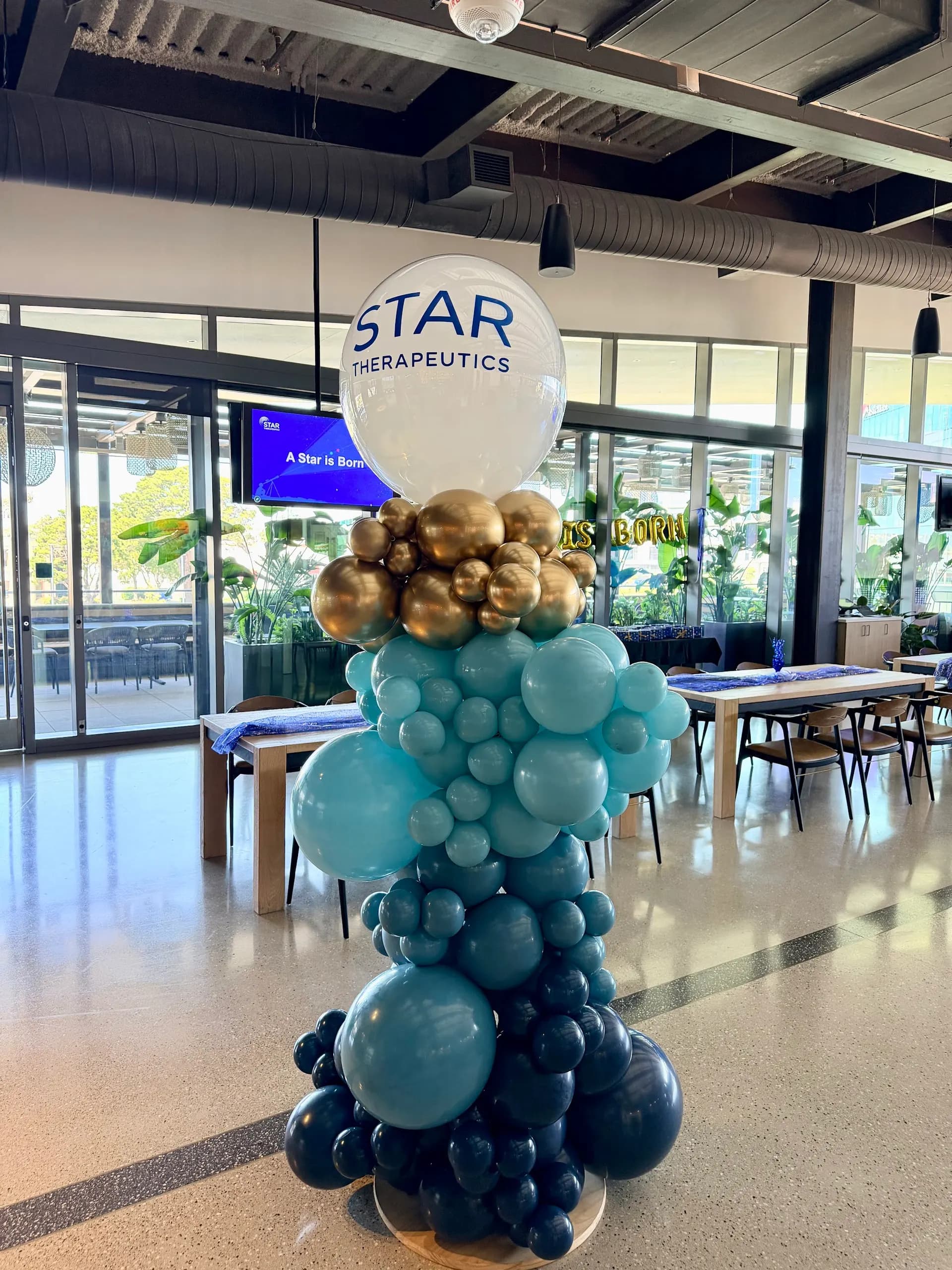 Star Therapeutics' Corporate Celebration in San Francisco Bay Area: branded organic balloon columns, view 2 of 2.